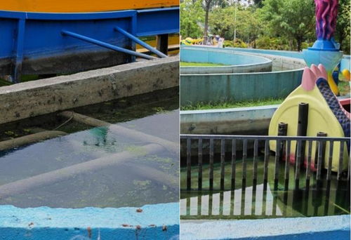 福建省消委会发布儿童游乐场所测评报告 遛娃场所暗藏消费风险与设备隐患